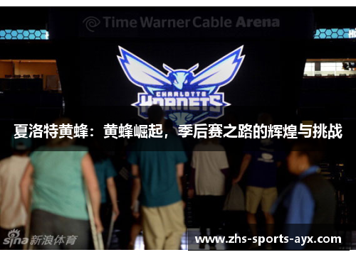 夏洛特黄蜂:黄蜂崛起,季后赛之路的辉煌与挑战 夏洛特黄蜂:黄蜂崛起,季后赛之路的辉煌与挑战